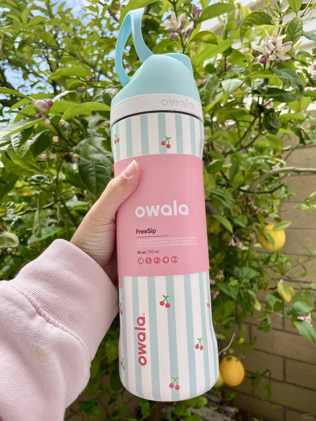 Insulated Stainless Steel Water Bottle with Straw, BPA-Free Sports Water Bottle, Great for Travel, 24Oz/32 Oz